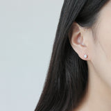 Dot Zirconia Earrings