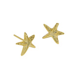 Kell Star Earrings