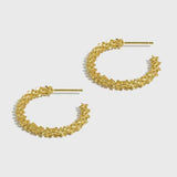 Loana Shine Hoop Earrings